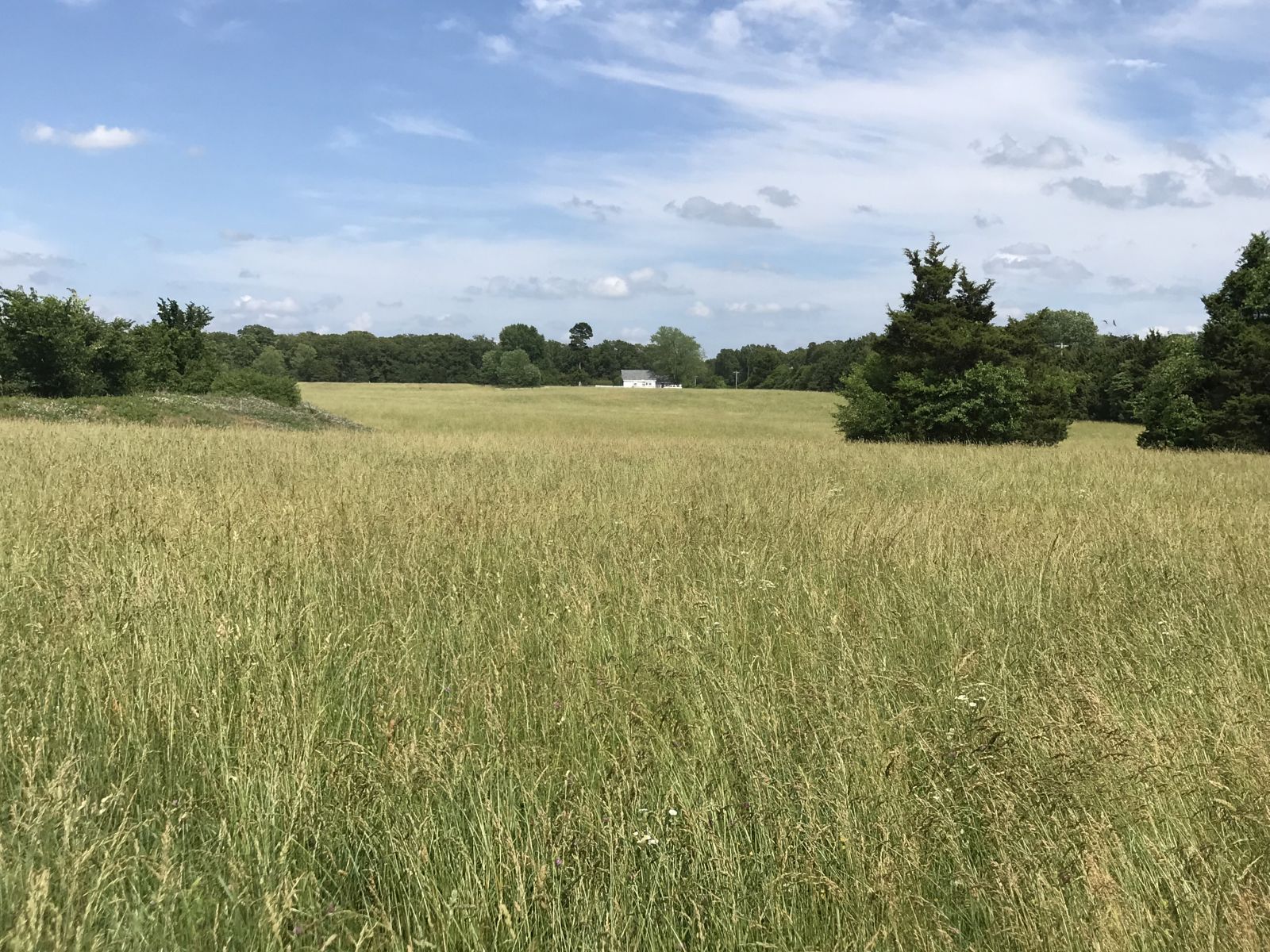 CAMDEN COUNTY LAND AUCTION – 198 ACRES