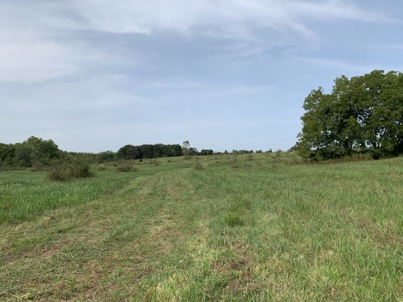 ABSOLUTE DALLAS COUNTY LAND AUCTION